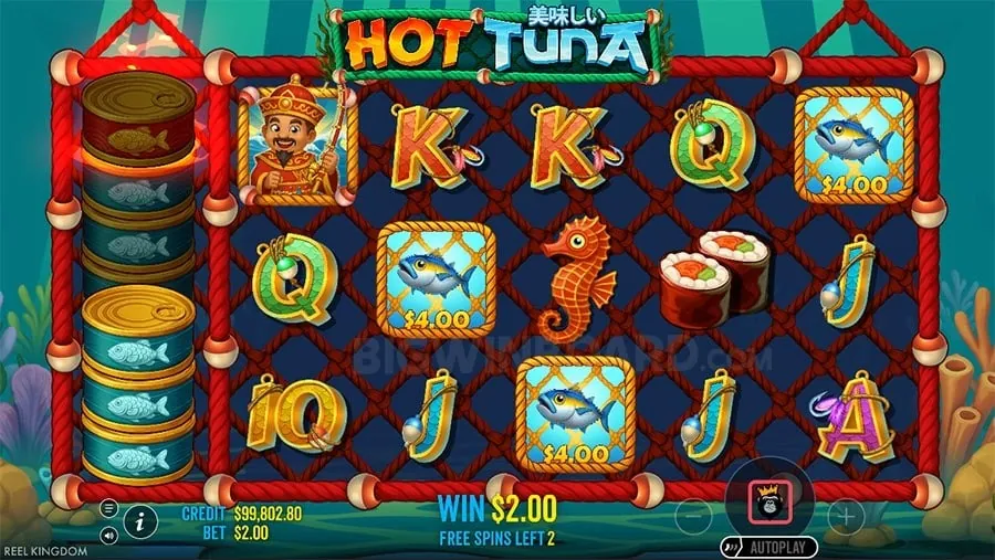Sports Betting Opportunities